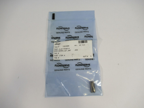 FlowServe LE11002E10 1002999 Socket Screw Set for Pump .250"  NWB