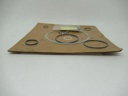 Goulds Pumps R196-MKS6 Pump Maintenance Kit For Use With 3196STX DMG PACKAGE NOP