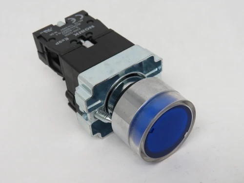 Noark EX9PBW3661D Blue Illuminated Push Button 24V 1NO NOP