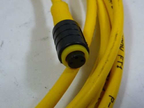 Turck PKG-3Z-4 Cable ! NEW !