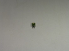 Indicateur De Fonctionnement WAGO 788-120 – Neuf Dans Son Emballage D'origine