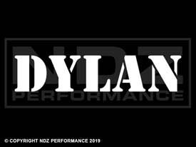 1040 - Names Dylan