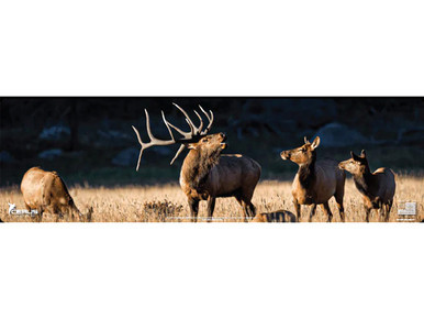 Cerus Gear Gun Mat Bull Elk & Herd Wildlife Magnum Promat Full Color