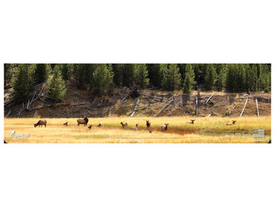 Cerus Gear Gun Mat Bull Elk Wildlife Magnum Promat Full Color