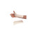 Rolyan Radial-Based Thumb Spica