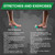 THERABAND Foot Rollers, Bilingual