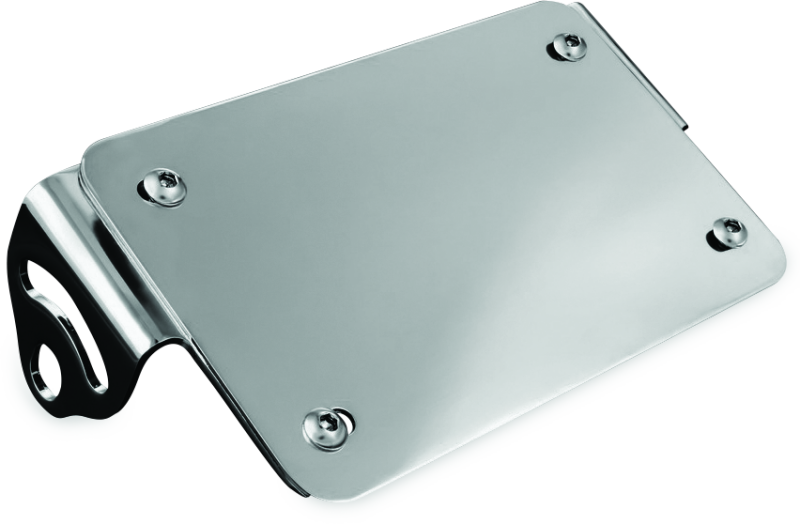 Kuryakyn License Plate Turn Signal & Marker Light Mount Chrome - 3155