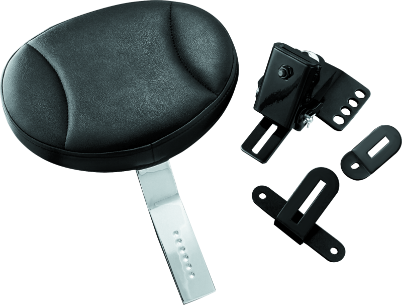 Plug-In Driver Backrests