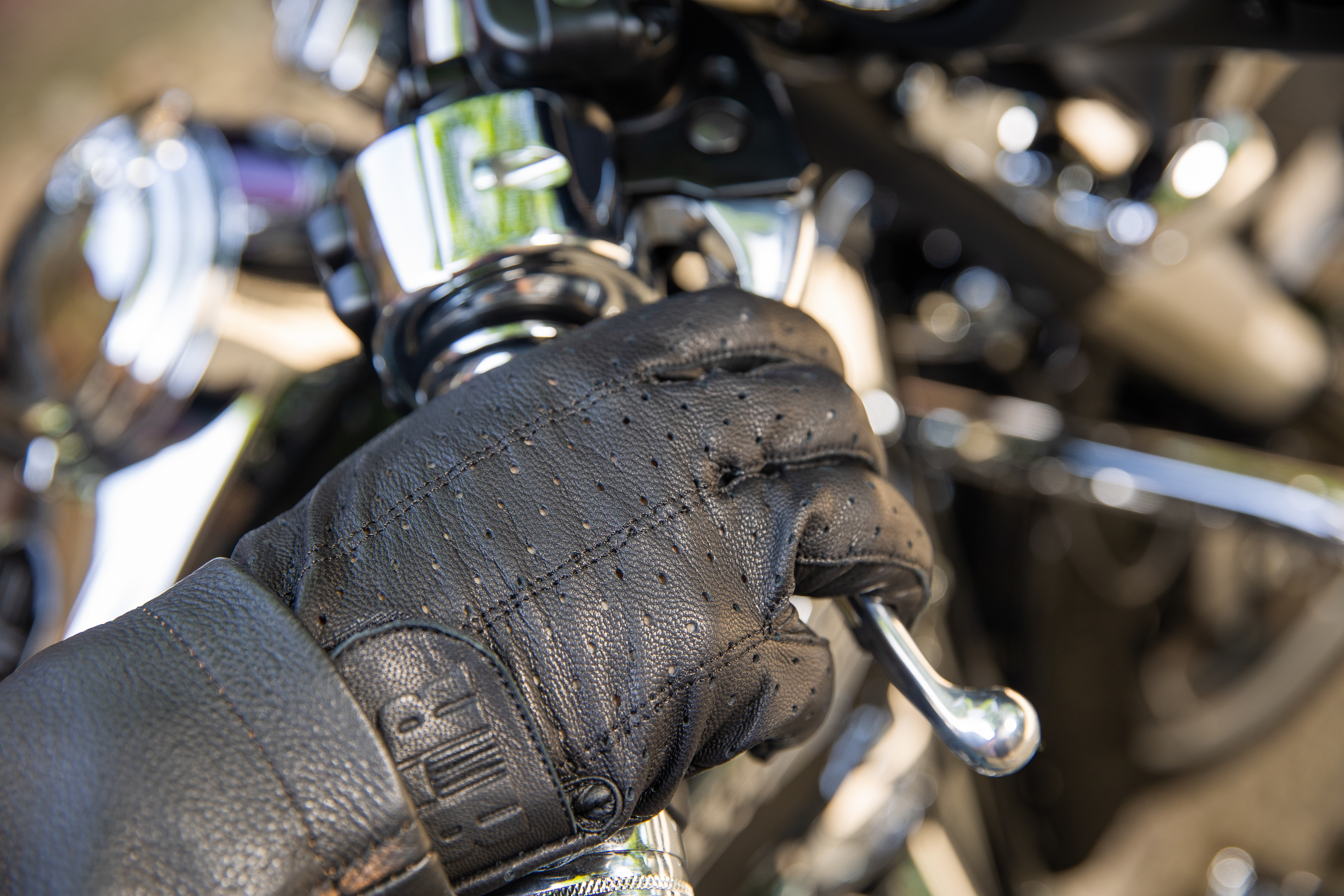 gloves