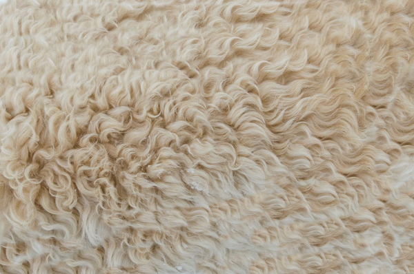 What Are The Specifications Of High-Quality Wool  Pads?