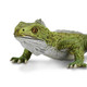 Tuatara Toy Figure