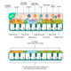 Musical piano mat for children