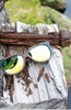 Winkwood Concrete Jungle Sunglasses