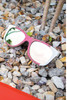 Winkwood Strawberry Cream Sunglasses