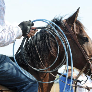 CPCGLOVE BLACK CLASSIC HP ROPING GLOVE Equibrand