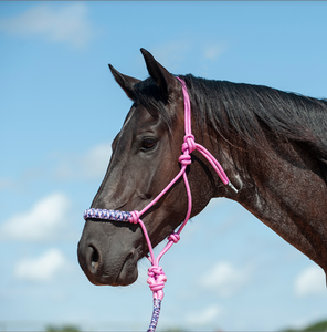 Cashel Pink Camo Braided Rope Halter