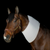 Incrediwear Equine Circulation Neck Sleeve
