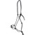 Classic Equine Black Chain Link Rope Halter