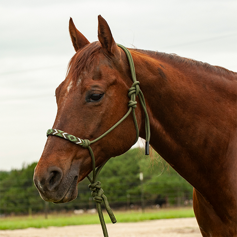 Cashel Olive Beaded Rope Nose Halter with Lead Rope