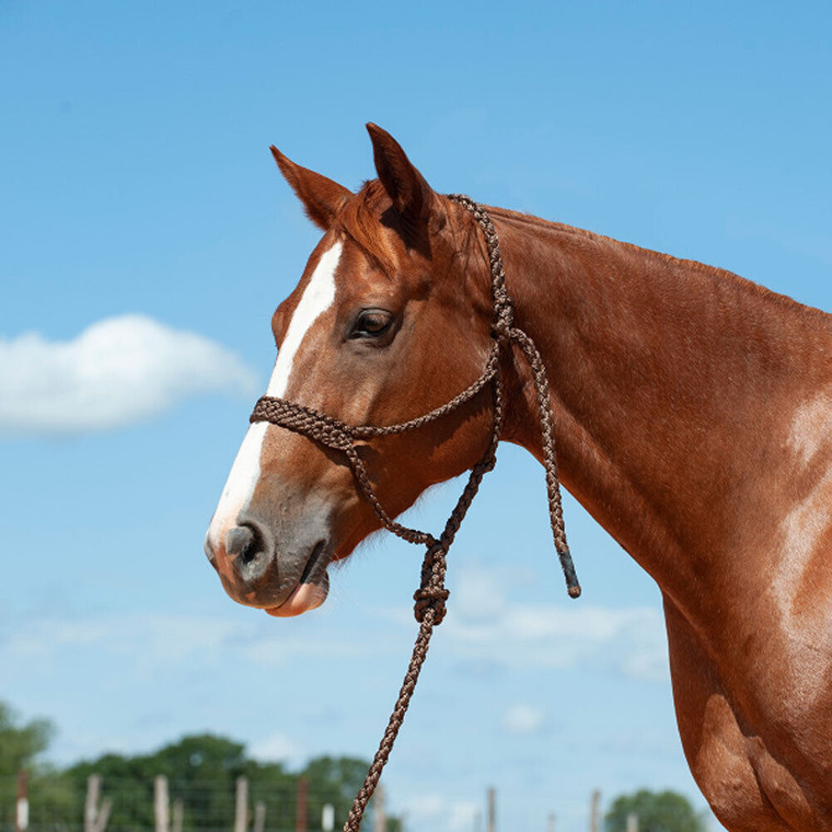 Cashel Brown Flat Braid Halter and Lead Rope