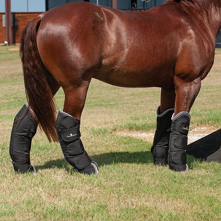 Classic Equine Black Shipping Boots