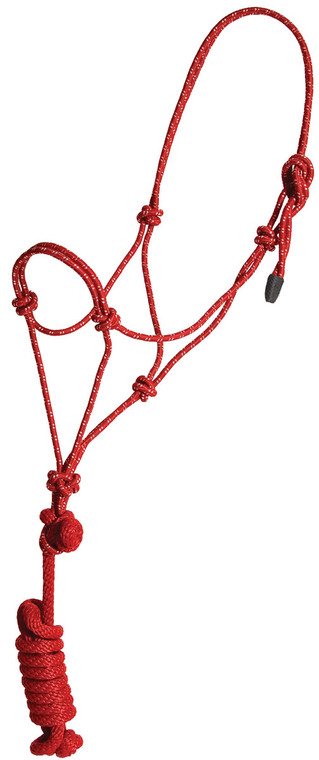 Foal Red/White Economy Rope Halter and Lead