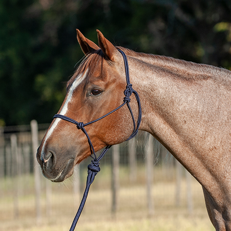 Classic Equine Navy Econo Rope Halter an Lead Rope