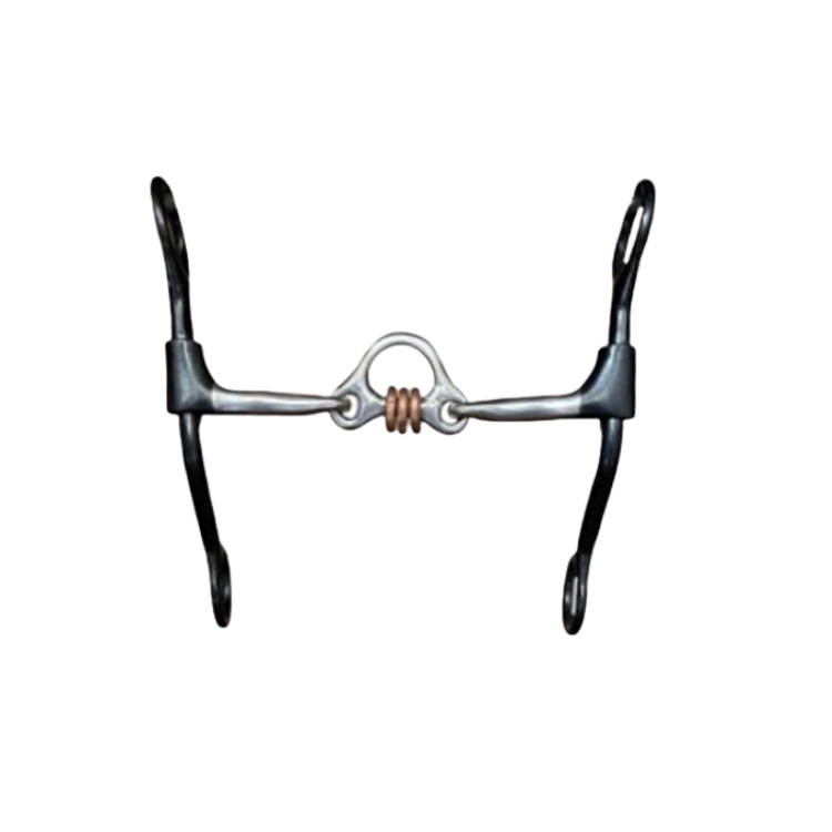 Dutton Bits Medium Port with Copper Rollers Short Shank Swept Back Cheek
