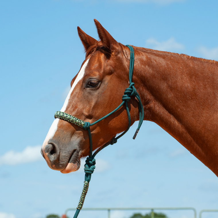 Cashel Green Camo Braided Rope Halter