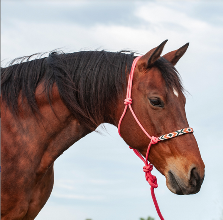 Cashel Pink Beaded Wave Rope Halter