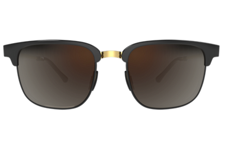 BEX Roger Tortoise/Brown Sunglasses