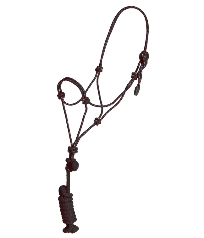 Foal Economy Black Rope Halter and Lead