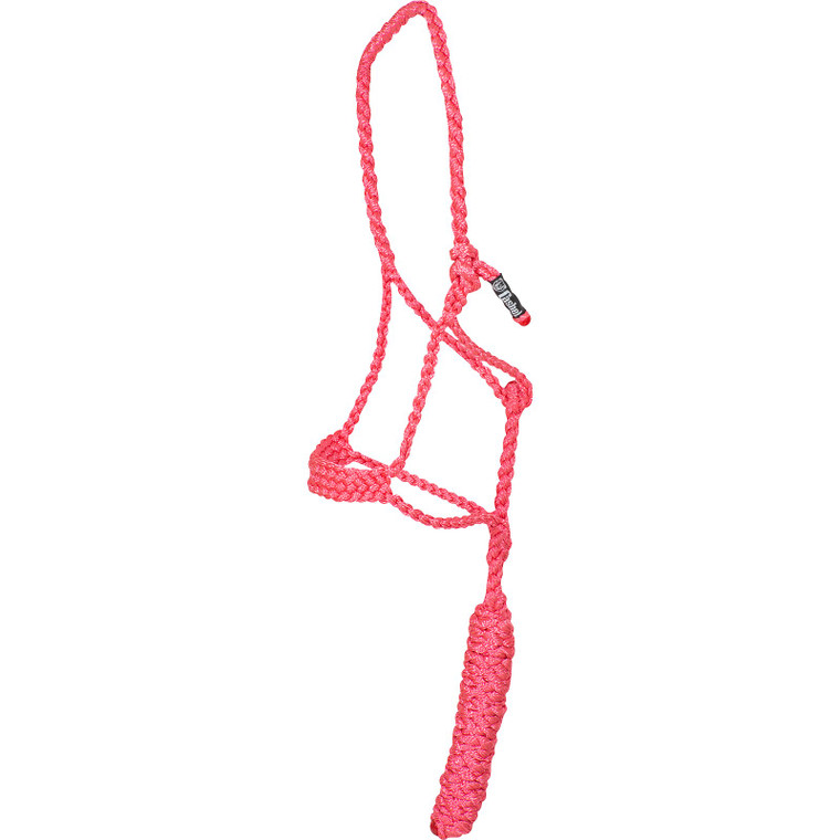 Cashel Flat Braid Pink Pony Halter