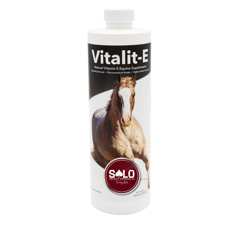 Vitalit-E Vitamin E Liquid Horse Supplement