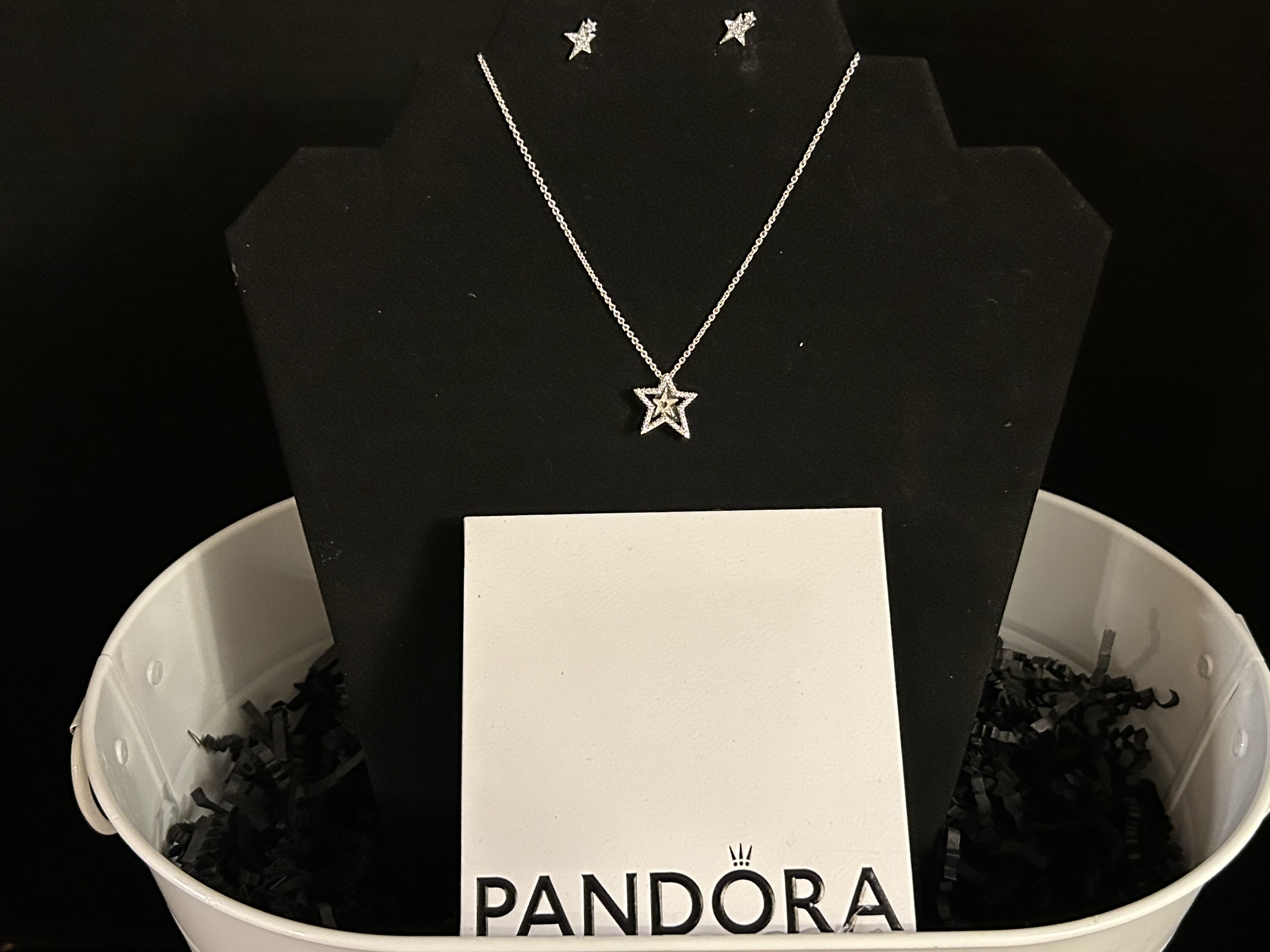 Women's Silvertone Necklace with matching Zebra Print Earrings