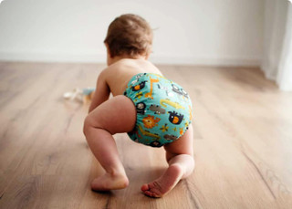 charlie banana reusable cloth diapers