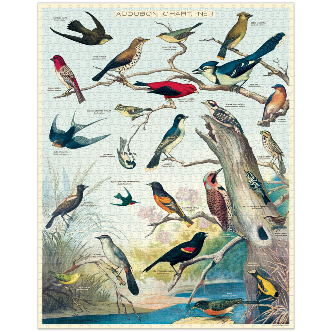 Puzzle　NYBG　Co　Cavallini　Birds　Audubon　Shop