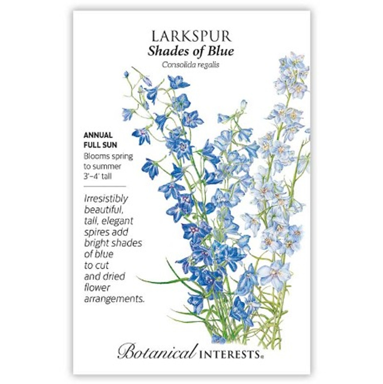 Dried Larkspur Flowers, Dark Blue