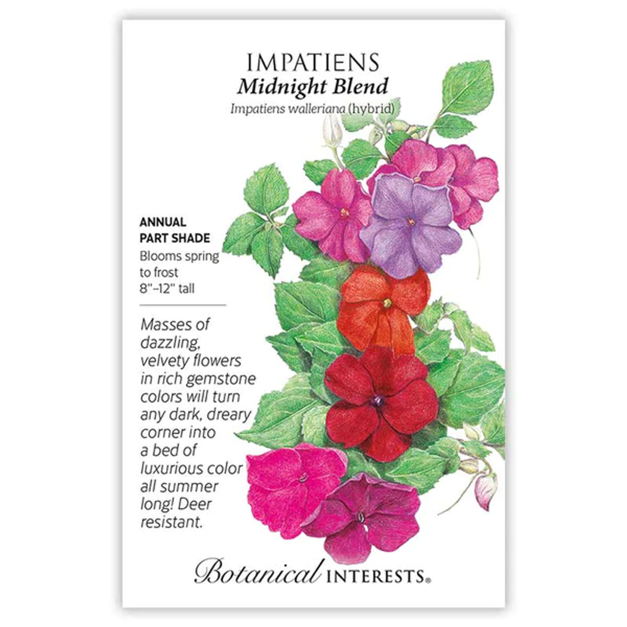 Botanical Interests - Impatiens Midnight Blend - NYBG Shop