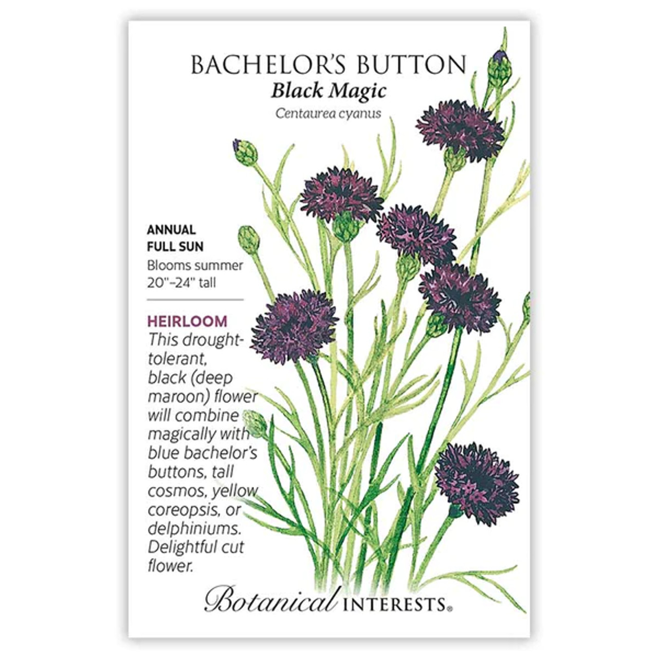 Botanical Interests - Black Magic Bachelor's Button - NYBG Shop