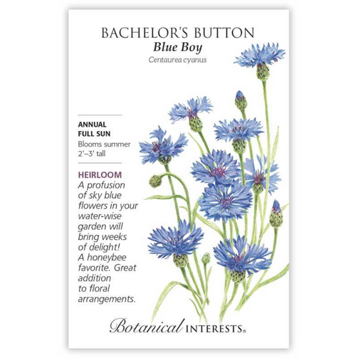 Botanical Interests - Bachelor's Button Blue Boy Seeds