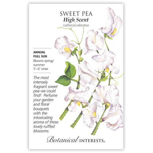 Botanical Interests - Sweet Pea High Scent Seeds