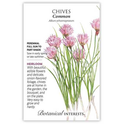 Botanical Interests - Common Chives