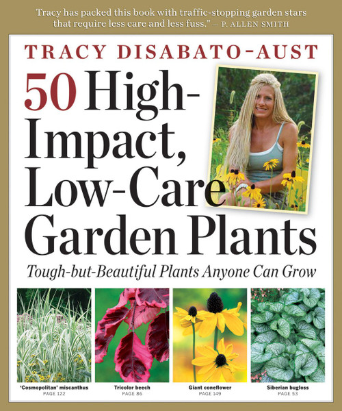 50 High-Impact, Low-Care Garden Plants