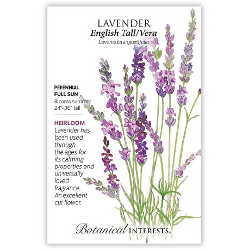 Botanical Interests - English Tall Vera Lavender