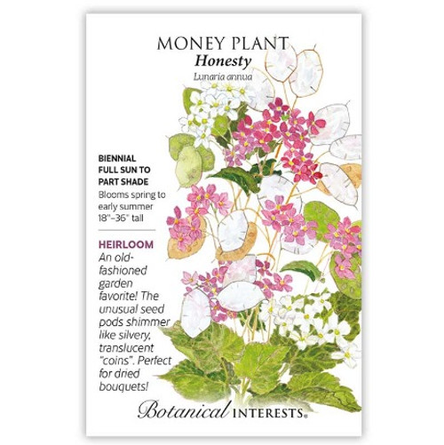 Botanical Interests - Honesty Money Plant