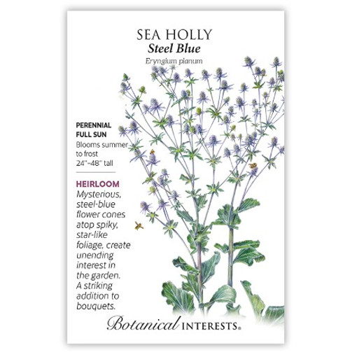 Botanical Interests - Steel Blue Sea Holly