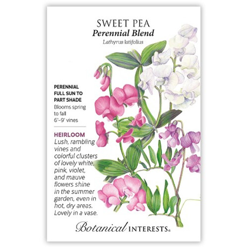 Botanical Interests - Perennial Sweet Pea