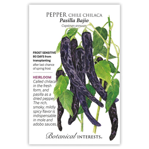 Botanical Interests - Pasilla Bajio Chilaca Chile Pepper