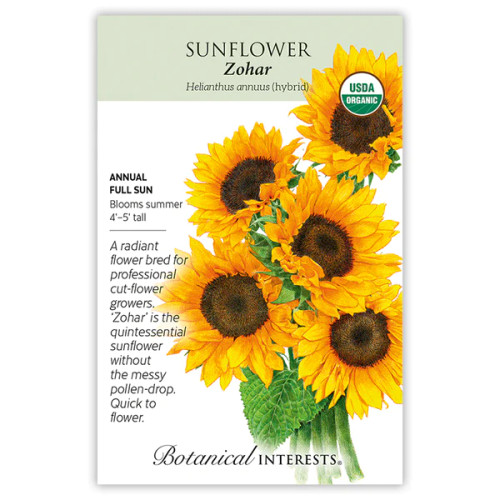 Botanical Interests - Zohar Sunflower